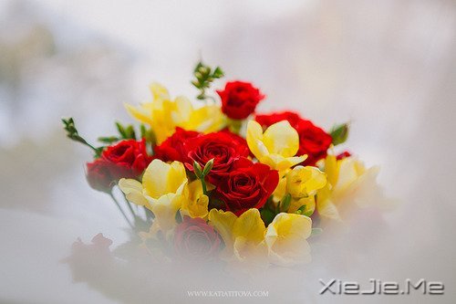 早安心语：做自己生命的主角，而不是别人生命中的看客 (9)