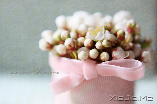 我正在努力变成自己喜欢的那个自己 (3)