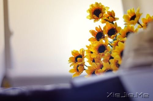 早安心语：人生，就是你一个人的人生 (6)