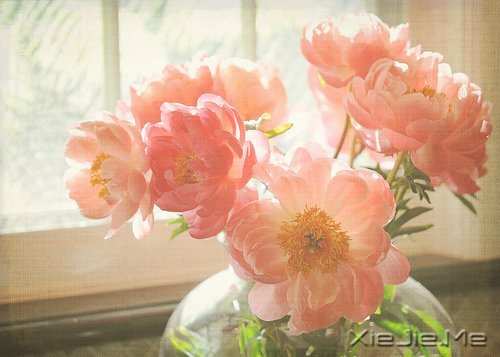 晚安心语：美不过回忆，伤不过别离 (2)