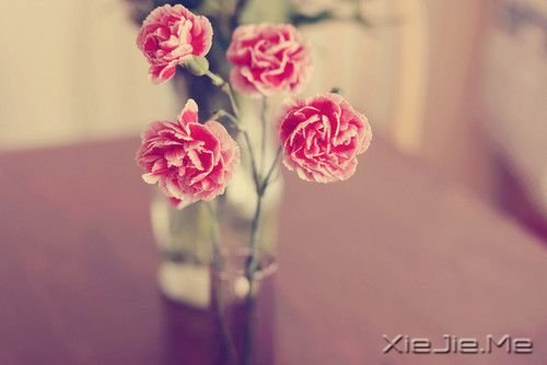 晚安心语：忘不掉的是回忆，继续的是生活 (5)