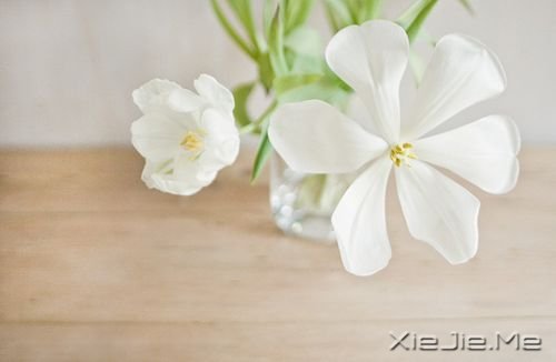 早安心语：你生活在别人的眼神里，就迷失在自己的心路上 (8)